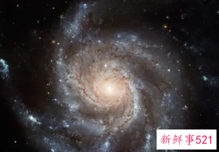 最厉害的特殊交界星座