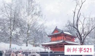 节气大雪诗意语句