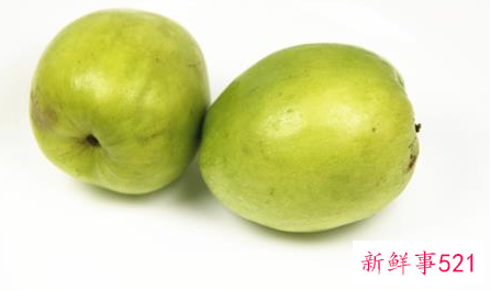 青枣的营养价值及功效与作用