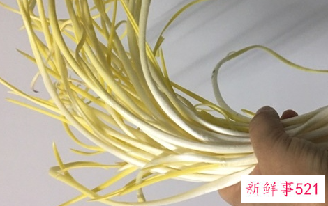 耐阴蔬菜品种有哪些