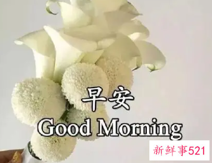 下午发给情人的问候语