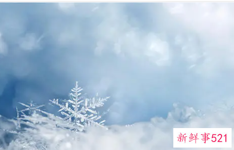 梦见地上一层雪是什么意思