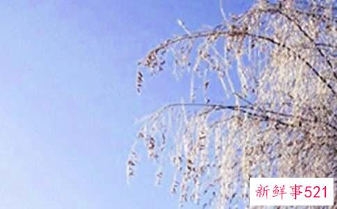 冬天护肤应该注意些什么