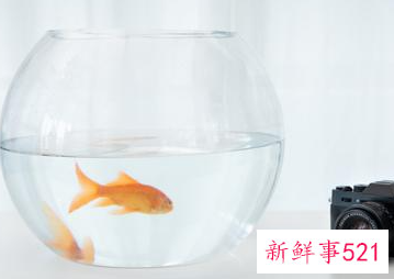 客厅鱼缸的摆放