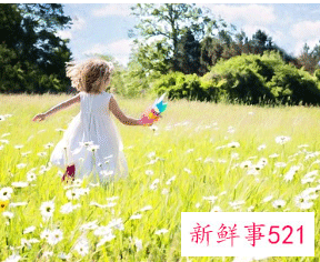 女孩有诗意涵养的名字