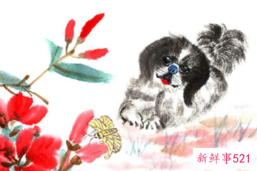 世上最好老公是什么生肖