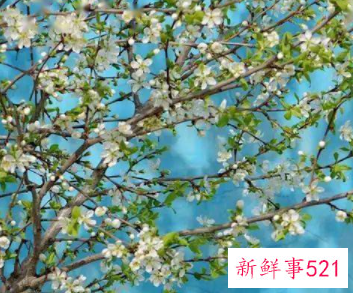 越相处越让人着迷的星座女