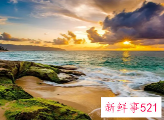 感悟句子致自己