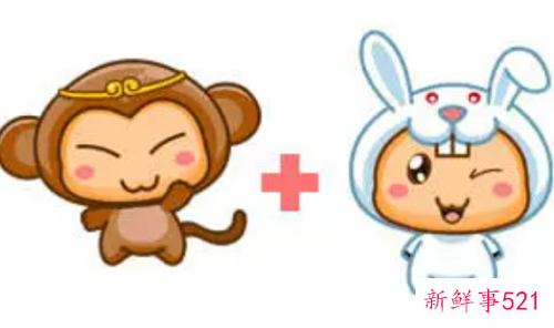 猴跟兔是好姻缘吗