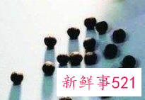 杞菊地黄丸的作用