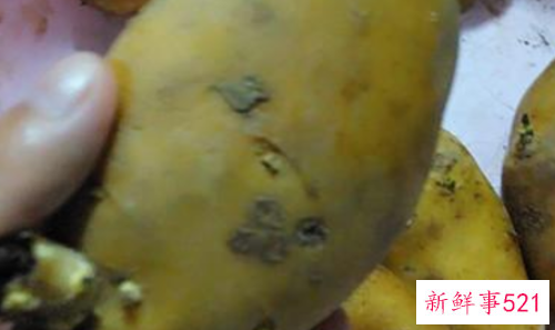 吃土豆注意什么