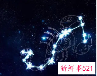 从星座看老板职场人士要留心