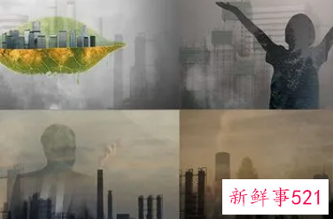 雾霾对大自然的危害