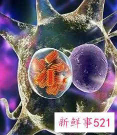 一切疾病都有自愈的可能