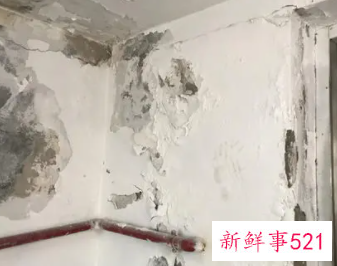 一楼发霉怎么处理方法