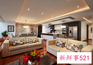 沙发和隔断之间应该放什么最合适