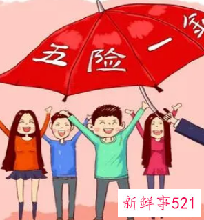 自己交五险去哪办理