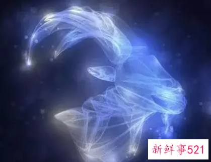 如何让属兔女生主动跟你聊天