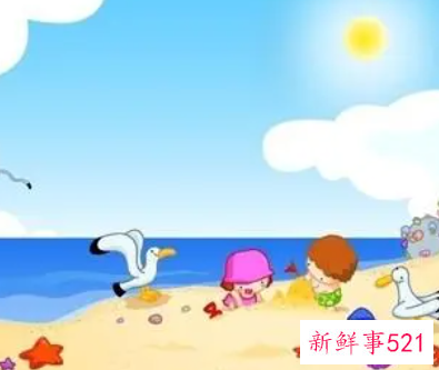 金色的沙滩看图写话一年级