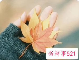 感悟句子致自己