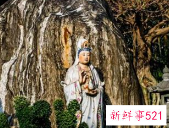 女人梦见菩萨观音像