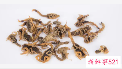 梦见蝎子的意思