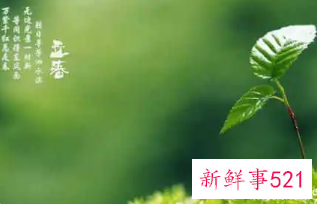 立春快乐的祝福语