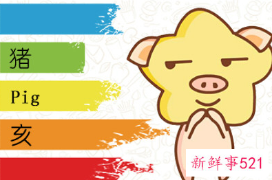 属猪最命苦出生日期是什么时候