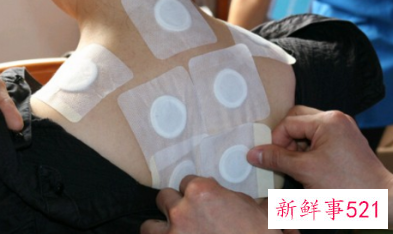 三伏贴一般贴哪里