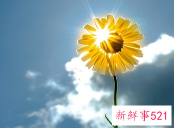 正能量工作心得的精简句子