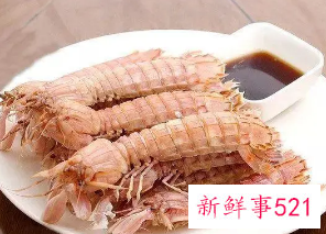 皮皮虾怎么保存才新鲜