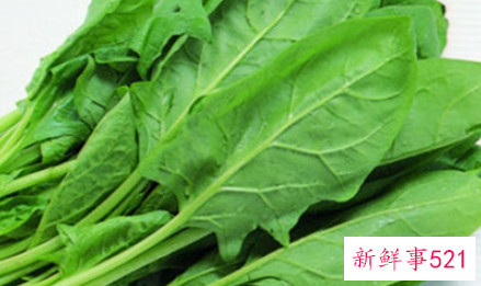 孕妇吃菠菜的注意事项