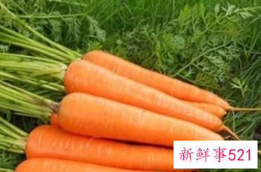 胡萝卜和什么相宜和禁忌