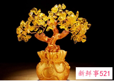 招财风水正确摆放位置办公室