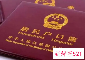 农村两儿子的怎样分户