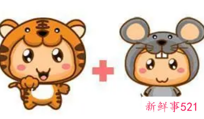 男虎女鼠婚姻是否相配