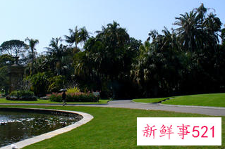 教资面试有戏的好兆头