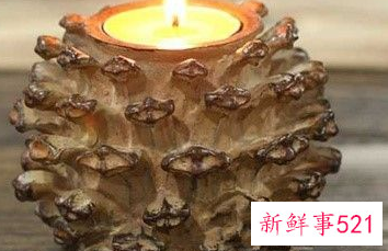 松果能做什么装饰品