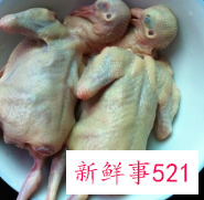 当归黄芪乳鸽汤怎么做