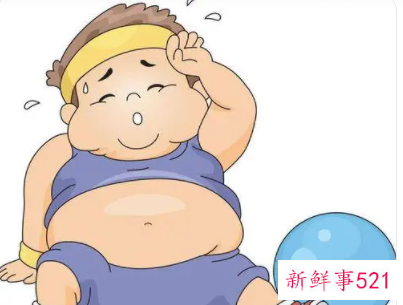 人肥胖的主要原因