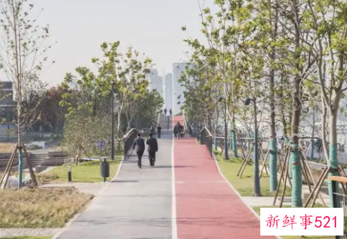 人人都适合的健身方法