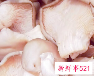 平菇不能和什么一起吃