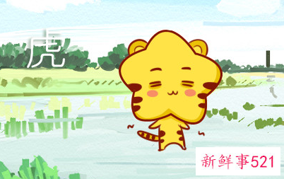 2010年属虎的是什么命