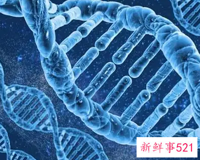 宝宝哪些特征来自于你的DNA