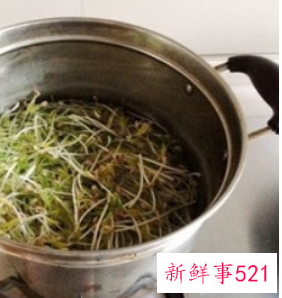 凉拌绿豆芽干豆腐丝