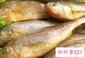 黄鱼保鲜的方法