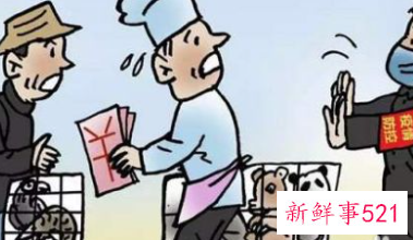 当代大学生如何保护野生动物