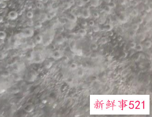 西兰花正确的焯水方法