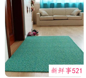 入户地垫颜色风水