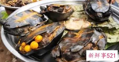 女人梦见吃煮熟的乌龟